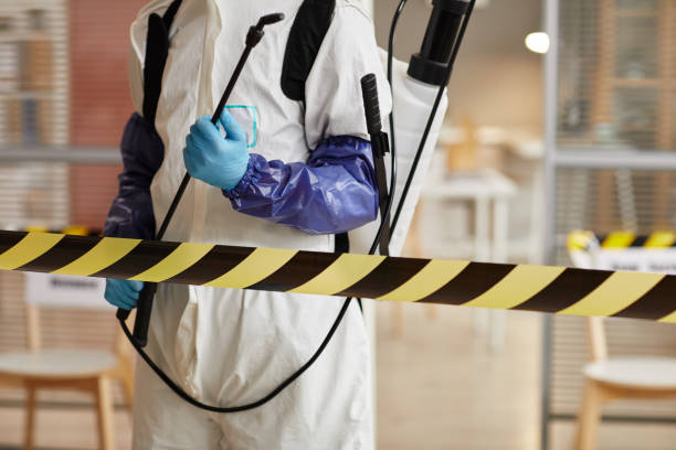 Professional Sewage Cleanup technician working in Pahoa, HI